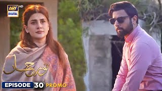 New Noor Jahan Episode 30  Promo  ARY Digital [upl. by Laurette]