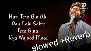 Hum Tere Bin ab Reh nahi Sakte  slowed  Reverb   Arijir singh  Aashiqui 2 💕💕 [upl. by Oiralih]