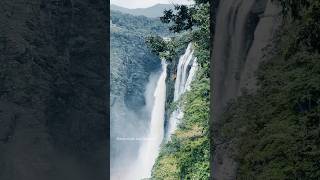 Jog Falls jogfalls nature waterfall waterfalls beautiful trending viralvideo trendingsong [upl. by Eduam]