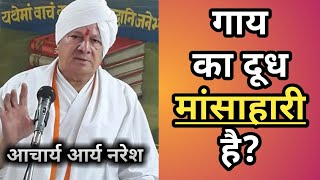 क्या दूध मांसाहारी हैं Milk is veg or nonveg आचार्य नरेश‌ आर्य [upl. by Ayikan596]