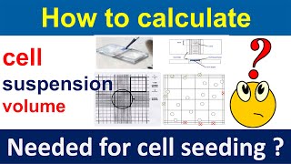 How to calculate cell suspension volume needed for cell seeding [upl. by Pascia]