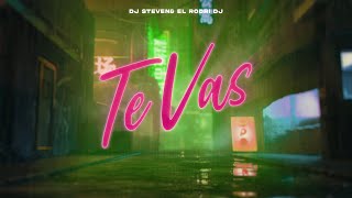 TE VAS Remix Americo  DJ Steven ft ElRodriDj [upl. by Leuams434]