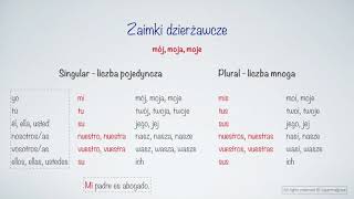 Zaimki dzierżawcze w języku hiszpańskim z tłumaczeniem  Język hiszpański dla początkujących [upl. by Ajnotal]