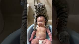 The cat is actually bathing the baby so smart [upl. by Camella]