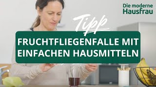 Fruchtfliegen langfristig loswerden  mit Hausmitteln Fruchtfliegenfalle [upl. by Anasor812]