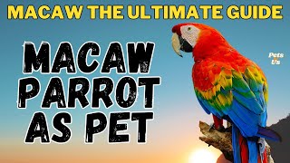 MACAW Parrot As Pet  Watch this before getting a Macaw  MACAW the Ultimate Guide  Pets and Us [upl. by Ytsihc104]