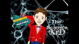 ENZYMES  The Science KID [upl. by Sanson569]