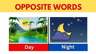 five opposite word  opposite words  opposite words in english [upl. by Guise]