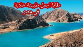 لازم تشوف الفيديو ده قبل ماتطلع طاباampكل اللي محتاج تعرفه عن طابا ومميزاتهاوعيوبها [upl. by Columbus342]