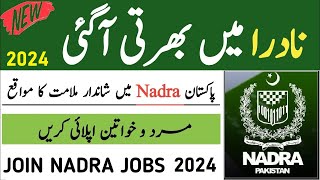 Nadra Jobs 2024  Nadra Pakistan Jobs 2024 [upl. by Aihsenal488]