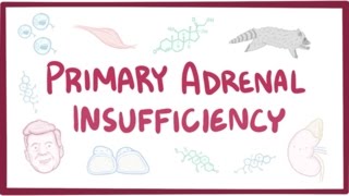 Primary adrenal insufficiency Addisons disease  pathology symptoms diagnosis treatment [upl. by Beaudoin]