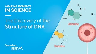 The Discovery of the Structure of DNA  AMS OpenMind [upl. by Mezoff]