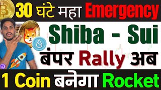 🚨Big खतरे का बाप Bitcoin 30 घंटे महा Emergency Shiba  Sui  बंपर Rally अब  1 Coin बनेगा Rocket [upl. by Iives]