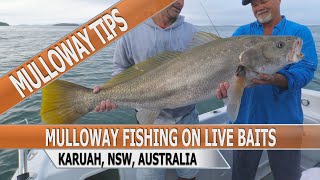 Fishing Edge Episode  Fishing For Mulloway On Live Baits [upl. by Josie880]