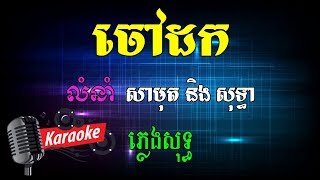 Khmer Karaoke ភ្លេងសុទ្ធ ខារ៉ាអូខេ ចៅដក Phleng Sot [upl. by Viviyan]