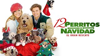 12 Perritos de Navidad El Gran Rescate PELÍCULA COMPLETA  Películas Navideñas  Pelis de Estrella [upl. by Eecak]