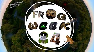 Frog Week 2024 The Ultimate Amphibian Adventure 🌿🐸 [upl. by Mischa]