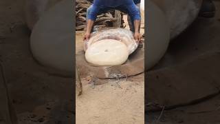 Unique way of making roti shortsvideo [upl. by Chapnick]