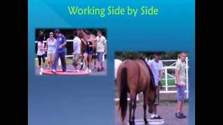 Team Building with Horses [upl. by Sunny]