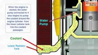 How Car Cooling System Works [upl. by Ativel]