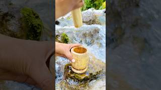 Outdoor cooking in nature 🌈⛰️  shorts outdoorcooking foodvlogs tea nature [upl. by Annazus]