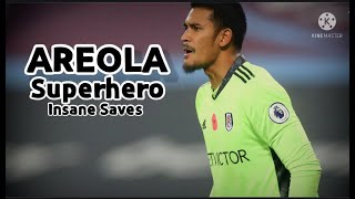 Alphonse Areola 2021 ► Underrated Goalkeeper  SUPER SAVESSuperhero [upl. by Edmond166]