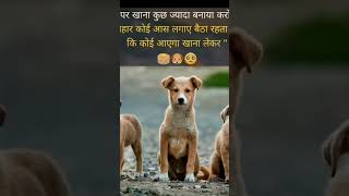 MsSamisharma ghr pe khana thda xtra bna lia kro plzdoglove [upl. by Sialac]