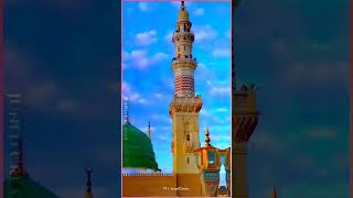 Sarla makase talab hui  Madina Sharif Status shorts viral trending [upl. by Innoj832]