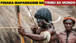 Mga Pinaka Delikadong TRIBU sa Mundo  The Most Dangerous TRIBES in the World kaalaman facts [upl. by Jervis]