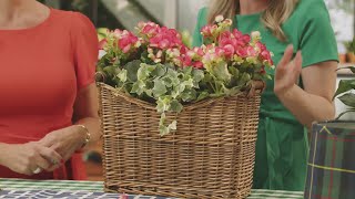 SOUTHERN TABLE TIPS ON PLANTS [upl. by Barn]