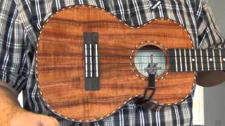 Hawaiian Ukulele Strum [upl. by Animaj941]