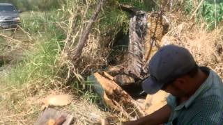 Aggressive killer honey bee hive removal from an old couch by Luis Slayton of Bee strong Honey [upl. by Ralyat511]