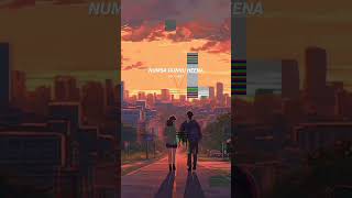 ❤️🎧 Nuba dunnu heena  solobeat08 music manoparakata slowedandreverb trending foryou [upl. by Egroj]