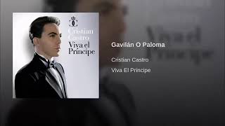 Cristian Castro  Gavilán O Paloma Cover Audio [upl. by Lala]