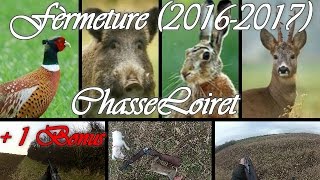 fèrmeture du petits gibiers  2016 2017  BONUS [upl. by Ivzt]