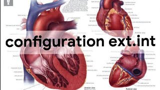 UNITE 1Cardio respiratoireANATOMY configuration extet int du cœur2éme année médecine [upl. by Neelyar132]