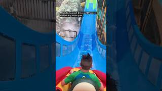 Top 5 rides RANKED at Universal Orlando waterpark 🤯 shorts universalstudios volcanobay [upl. by Gilly36]