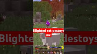 Blighted rat… minecraft gaming rlcraftv2 rlcraft2 rlcraft rlcraftdregora rlcraftminecraft [upl. by Donnamarie]