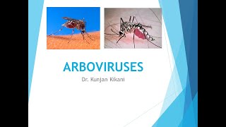 Arbovirus [upl. by Gonzalo]