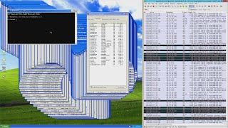 Launching 165 viruses on Windows XP [upl. by Odyssey]