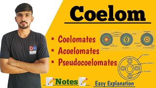 Coelom amp Its Types In Hindi  Coelomates  Acoelomates  Pseudocoelomates  By Dadhich Sir [upl. by Sirronal]