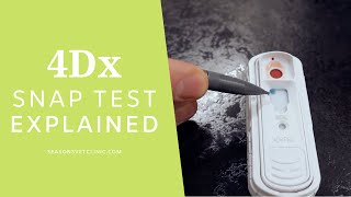 The 4DX Snap Test Explained by Dr Leigh Chisholm at Seasons Vet Clinic [upl. by Miquela]