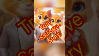 Sad true love story shorts cat catstory [upl. by Creight]