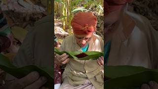 ഒരു വേറിട്ട കാഴ്ച്ച viralvideo cardamom plantation [upl. by Attena]