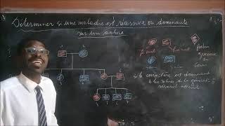 DÉTERMINER SI UNE MALADIE EST RÉCESSIVE OU DOMINANTE SUR UN ARBRE GÉNÉALOGIQUE [upl. by Eibreh]