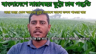 বাংলাদেশে সারা বছর ভুট্টা চাষ পদ্ধতি কি জাতের ভুট্টা লাগালে সবথেকে ভালো ফলন পাওয়া যায় সারাবছর [upl. by Meingoldas519]