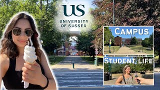 ALL ABOUT UNIVERSITY OF SUSSEX [upl. by Maritsa354]