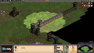 Voobly AOE2 16 Arena Portuguese vs Celts [upl. by Schargel50]