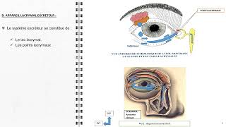 ANATOMIE FMPM ANATOMIE DES GLANDES ET VOIES LACRYMALES [upl. by Kerek]