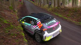 Rallye Erzgebirge 2023  Crash Mistakes amp Max Attack HD [upl. by June864]